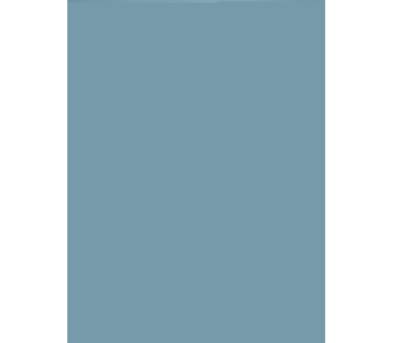 79c5e173aec894e10498cbcd68e4b95